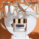 zBlend - zGel - zLacquer | #145 - #168 The Harvest Collection - 24 Colors