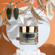 zBlend - zGel - zLacquer | #145 - #168 The Harvest Collection - 24 Colors