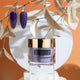 zBlend - zGel - zLacquer | #145 - #168 The Harvest Collection - 24 Colors