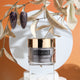 zBlend - zGel - zLacquer | #145 - #168 The Harvest Collection - 24 Colors