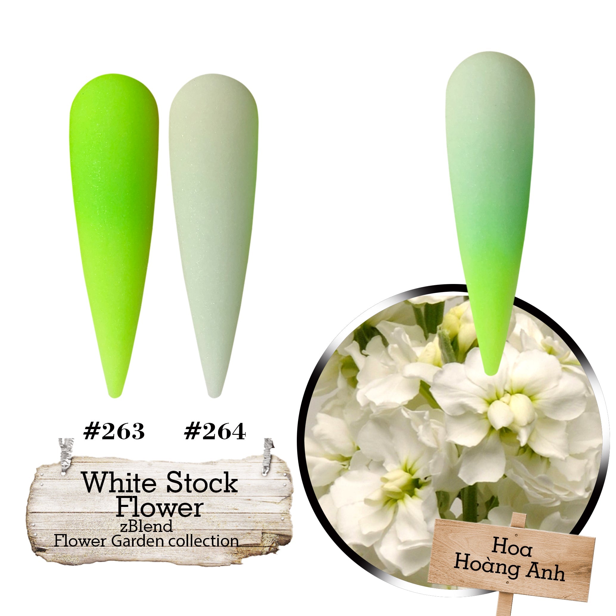 zBlend - zGel - zLacquer | #253 - #288 Flowers Garden Collection - 36 Colors