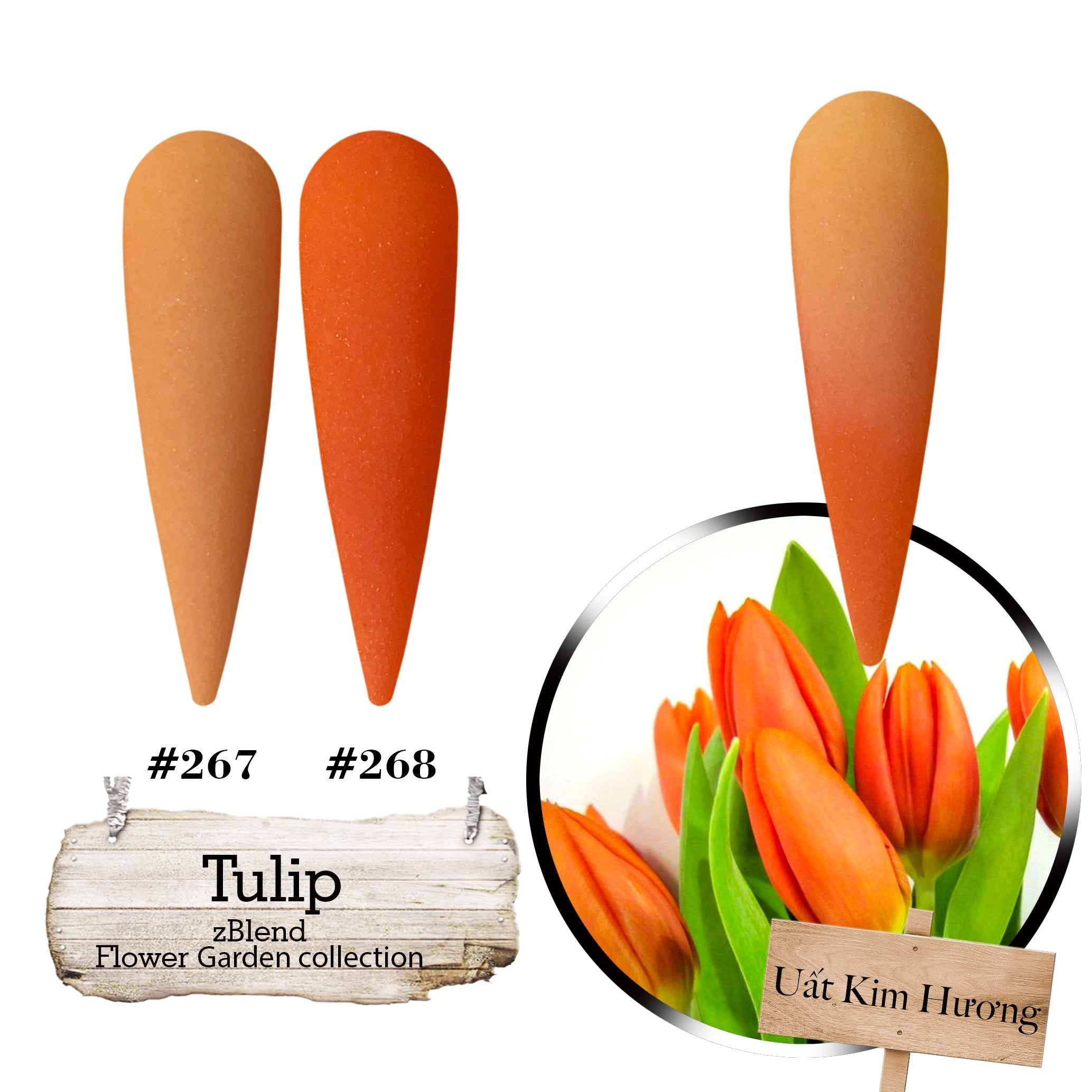 zBlend - zGel - zLacquer | #253 - #288 Flowers Garden Collection - 36 Colors