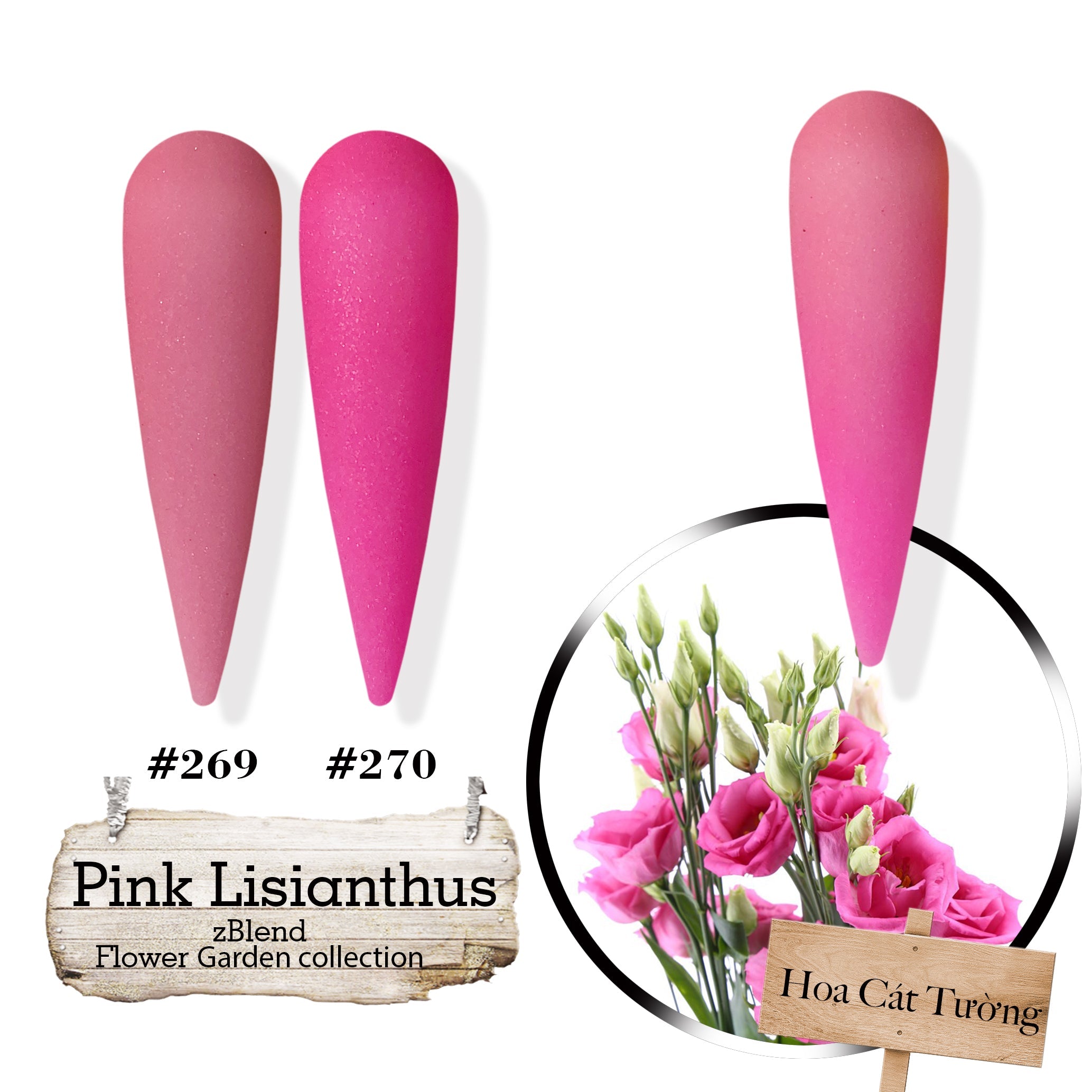 zBlend - zGel - zLacquer | #253 - #288 Flowers Garden Collection - 36 Colors