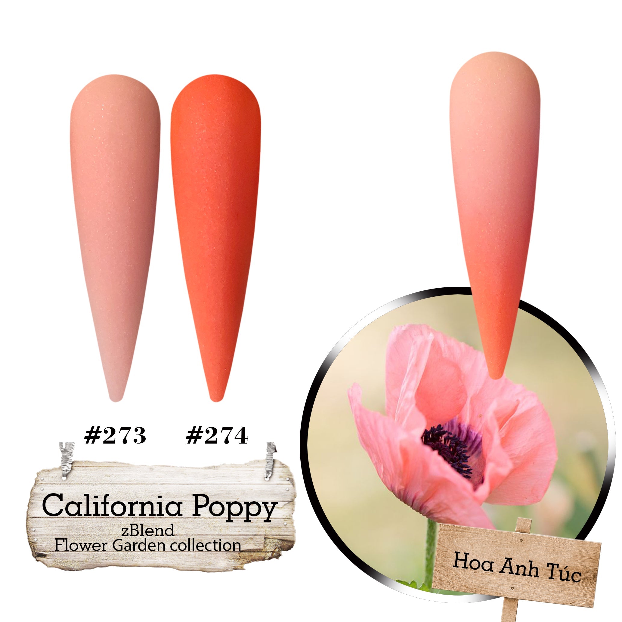 zBlend - zGel - zLacquer | #253 - #288 Flowers Garden Collection - 36 Colors