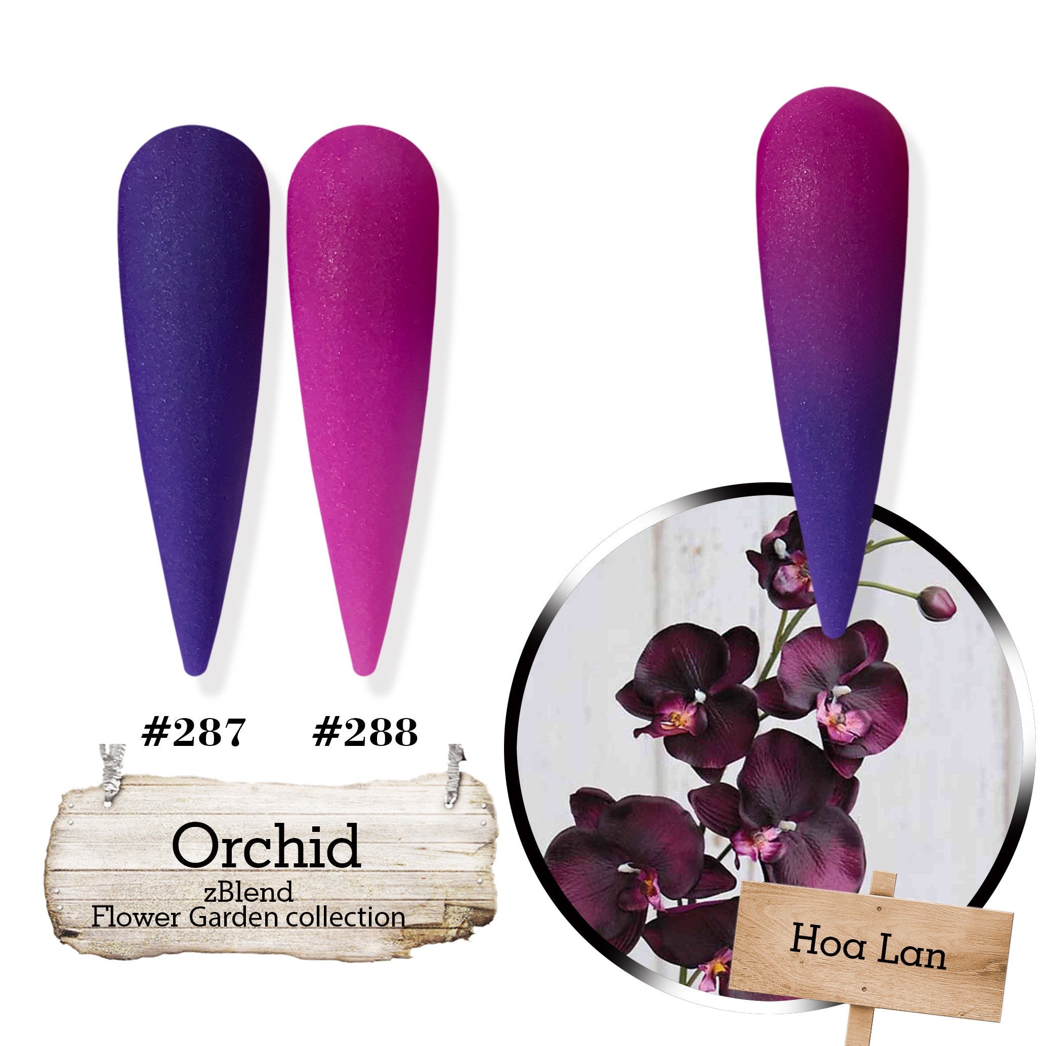 zBlend - zGel - zLacquer | #253 - #288 Flowers Garden Collection - 36 Colors