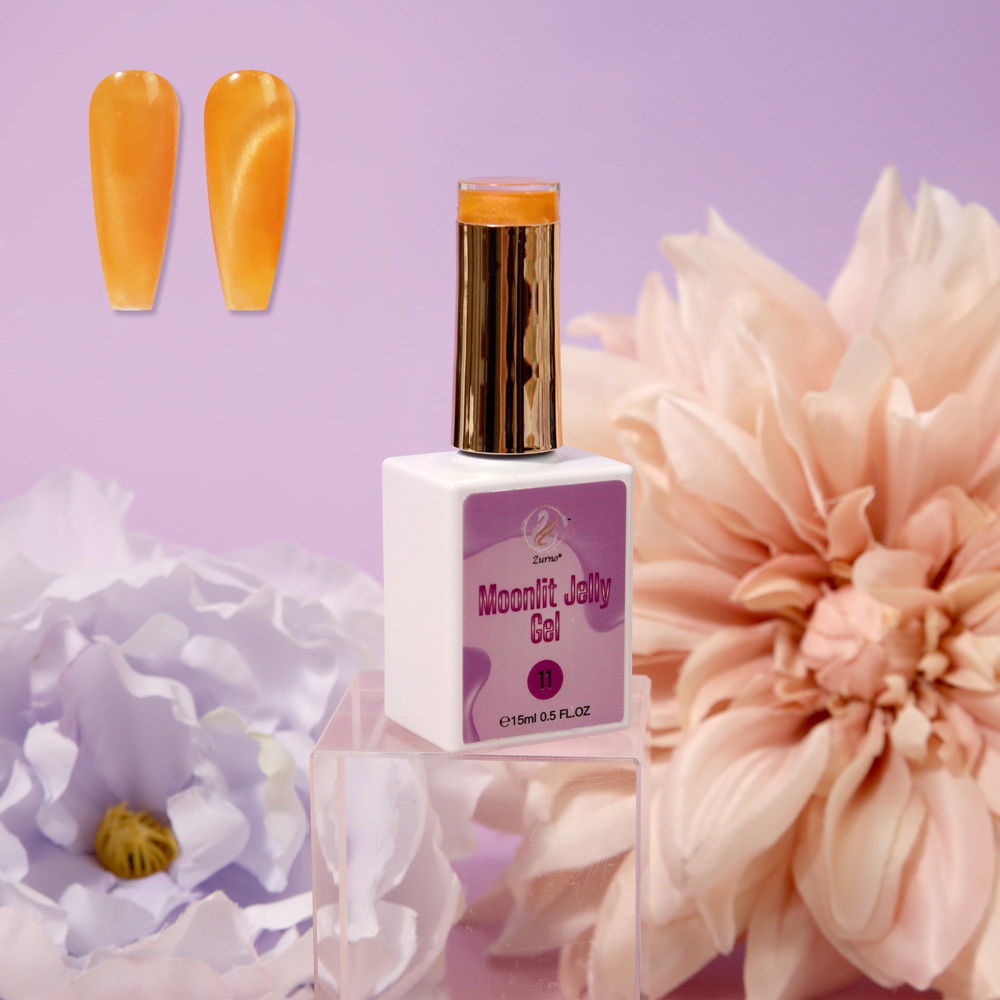 Moonlit Jelly Gel Collection 24 Colors