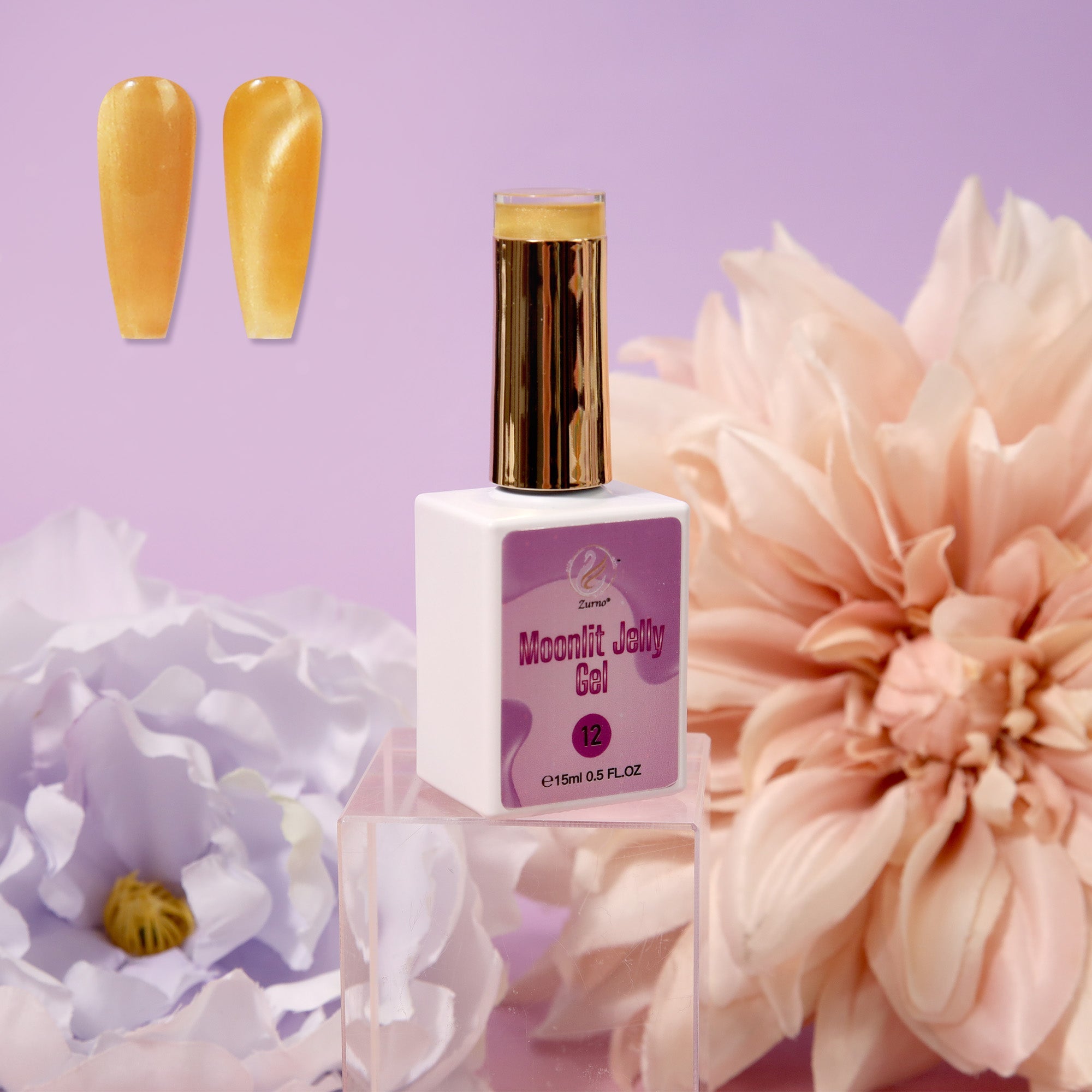 Moonlit Jelly Gel Collection 24 Colors