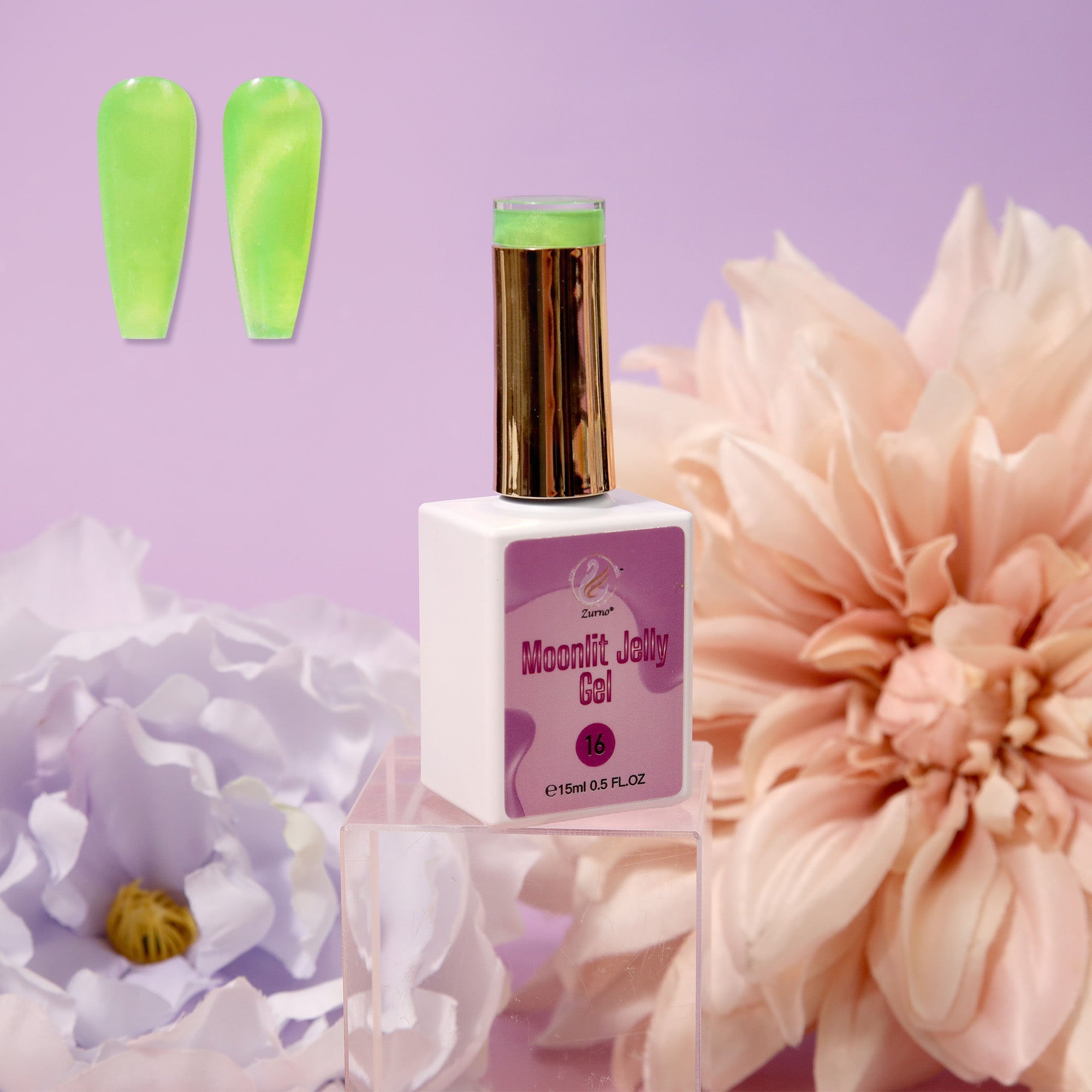 Moonlit Jelly Gel Collection 24 Colors
