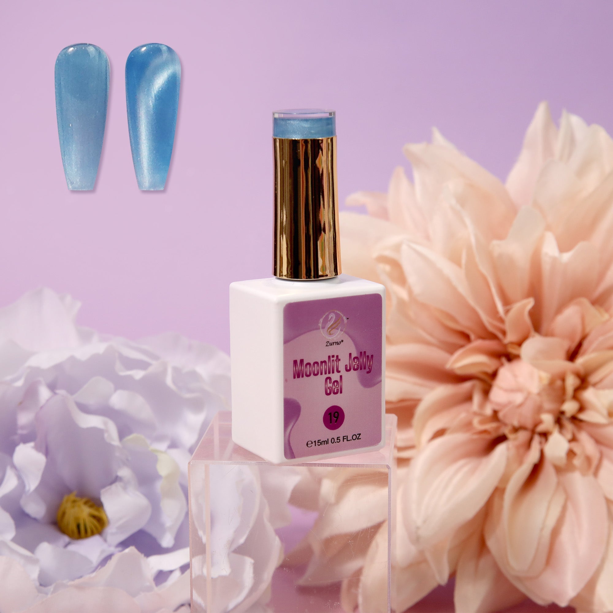 Moonlit Jelly Gel Collection 24 Colors