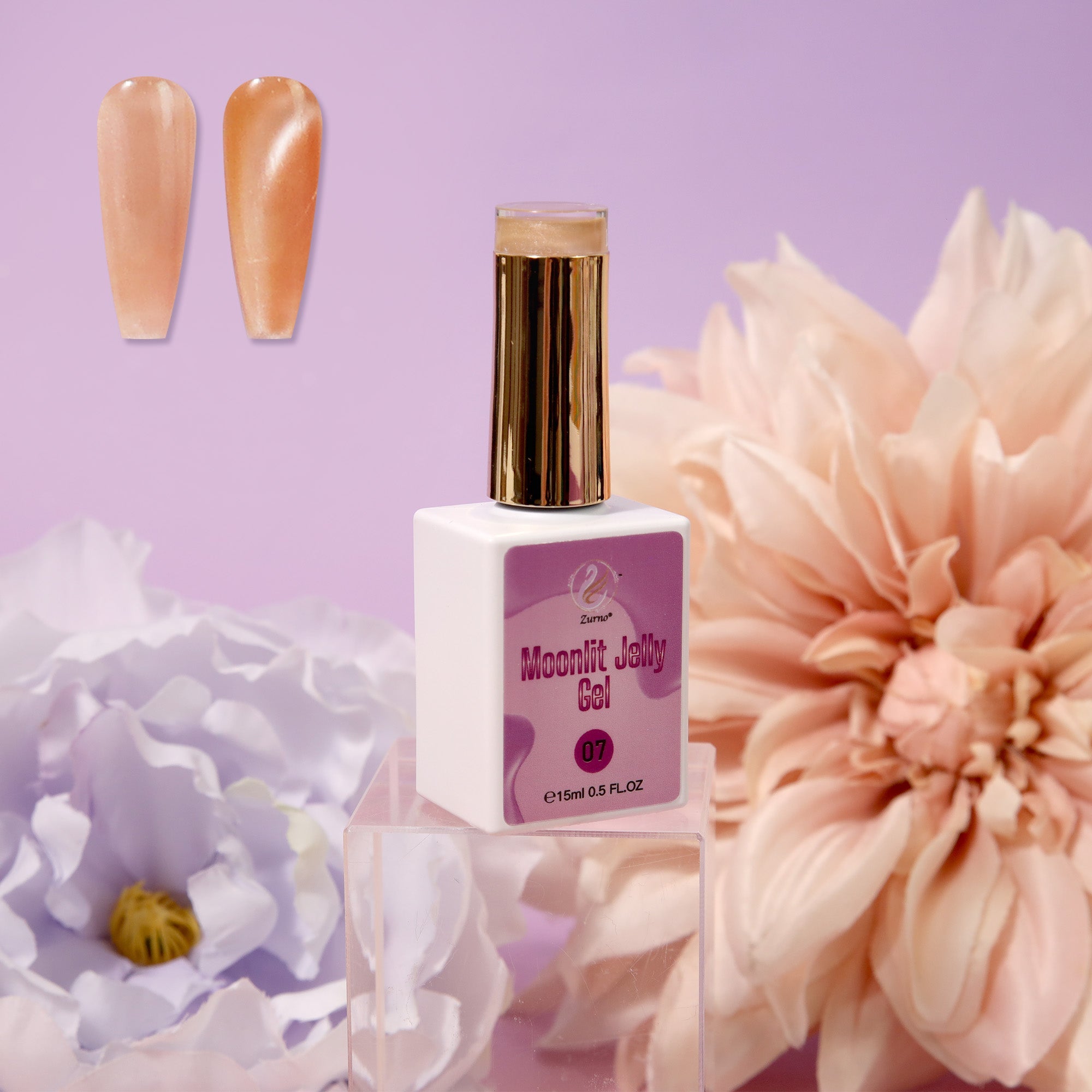 Moonlit Jelly Gel Collection 24 Colors