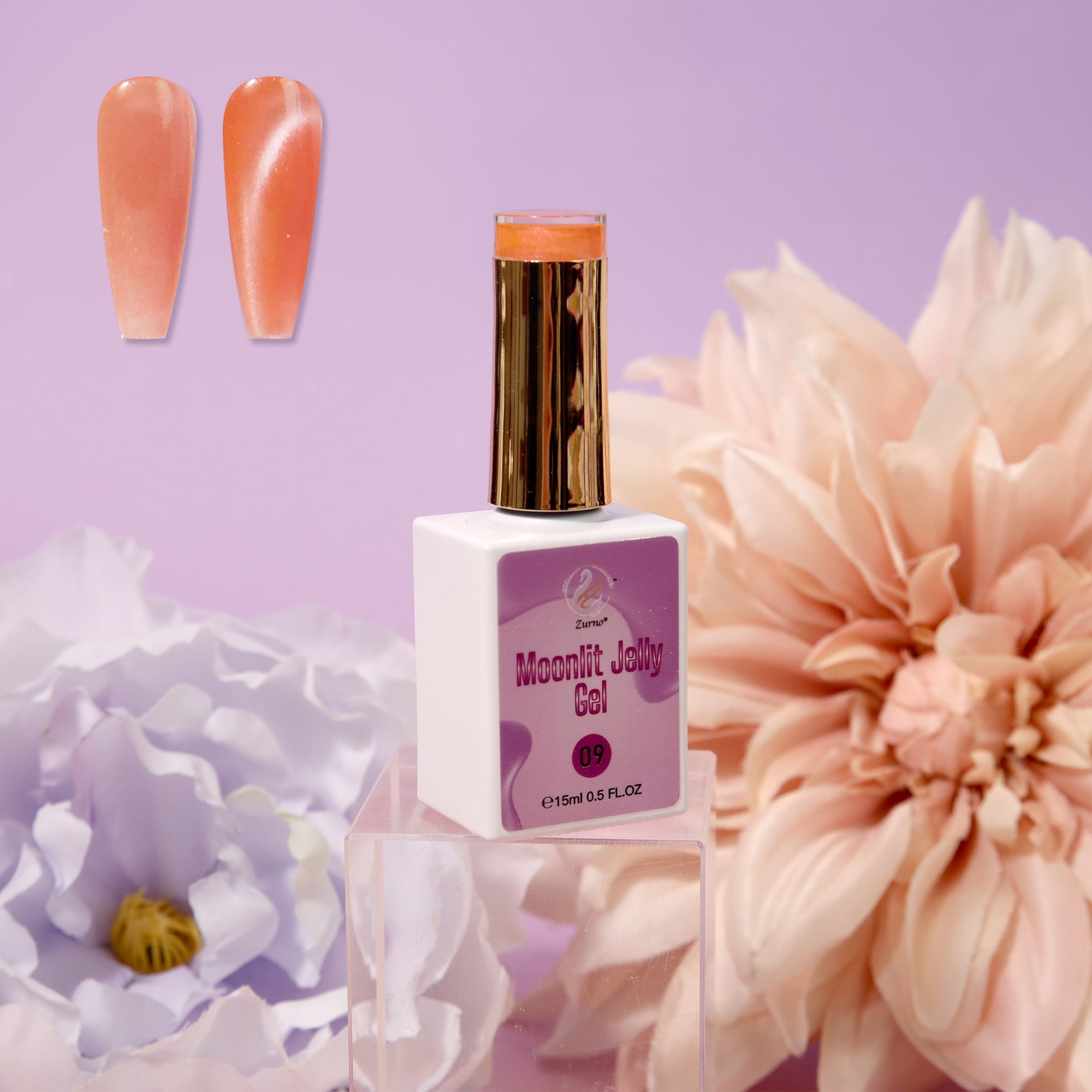 Moonlit Jelly Gel Collection 24 Colors