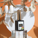 zBlend - zGel - zLacquer | #145 - #168 The Harvest Collection - 24 Colors