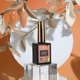 zBlend - zGel - zLacquer | #145 - #168 The Harvest Collection - 24 Colors