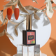 zBlend - zGel - zLacquer | #145 - #168 The Harvest Collection - 24 Colors