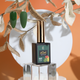 zBlend - zGel - zLacquer | #145 - #168 The Harvest Collection - 24 Colors
